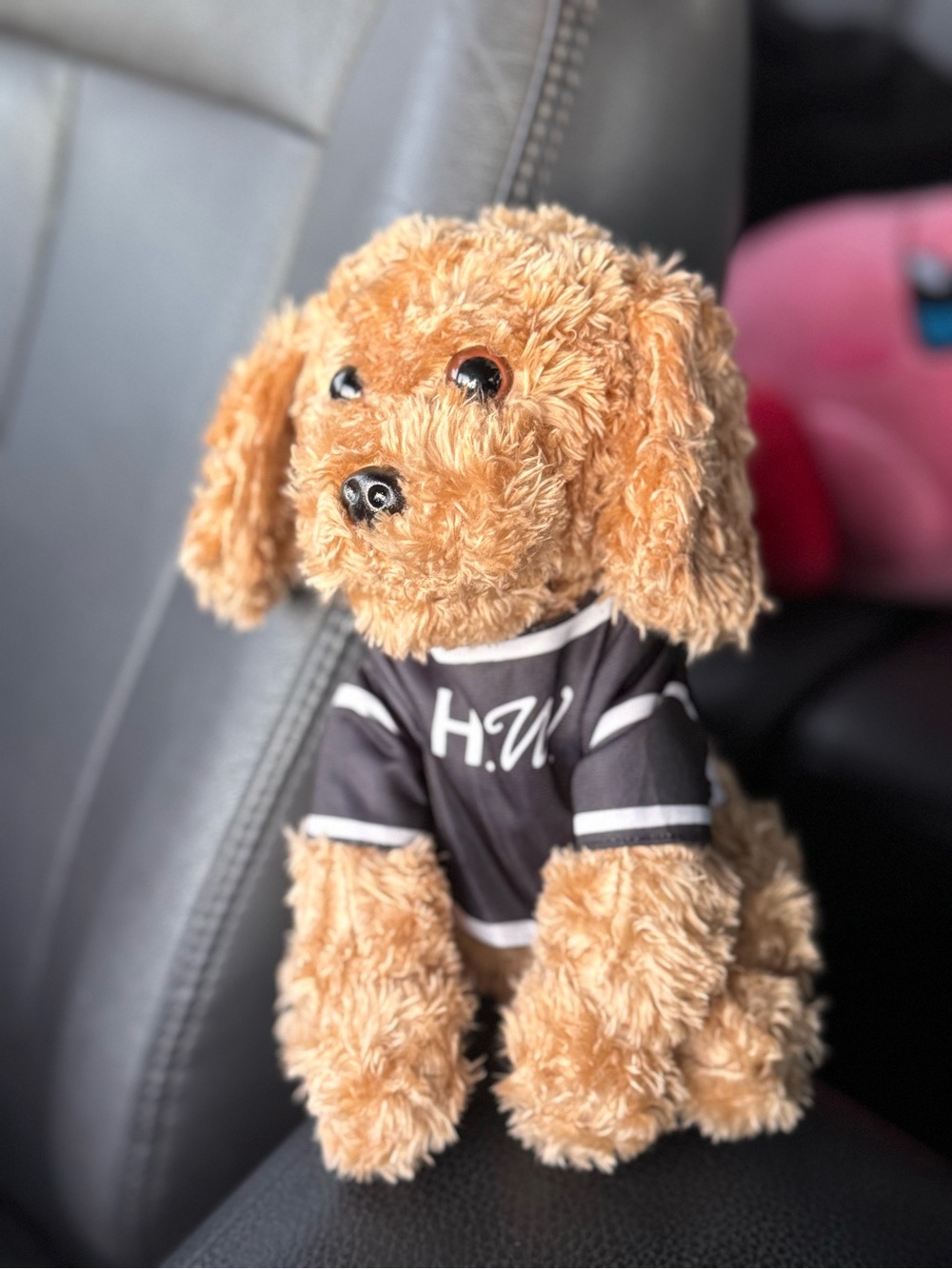 Alf Williams Plush - The Hayley Williams Show